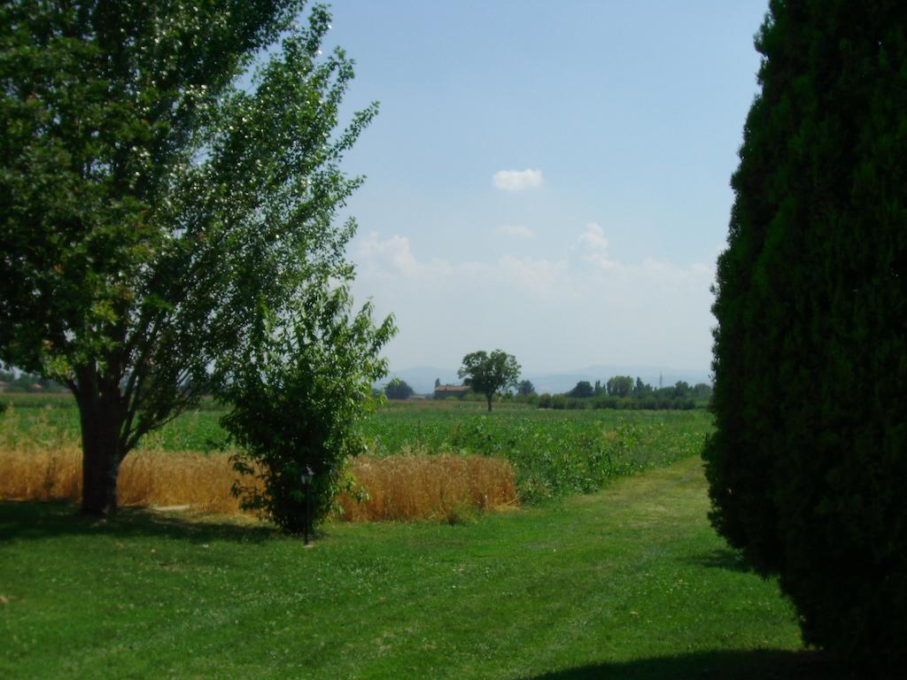 B&B Santa Rita Μόντενα Εξωτερικό φωτογραφία